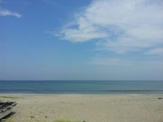 947229_10200273527543037_1219877794_n