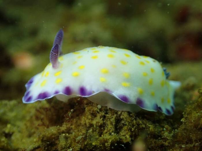 13876206_10207097891307866_4481617728115039563_n