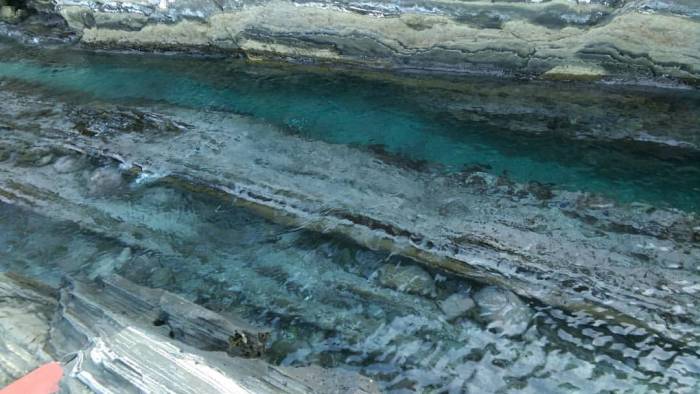 16179783_10208493139308194_5409264367241798783_o