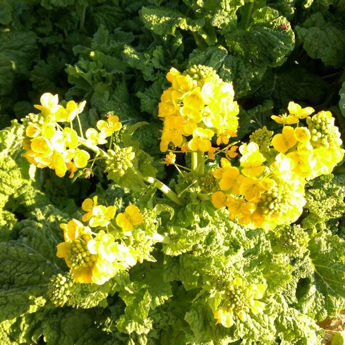 16406648_10208522684366802_6680300815912387061_n